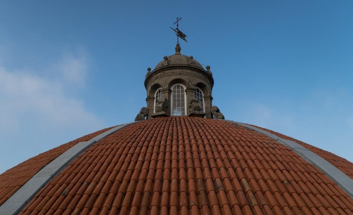 Jaka papa do lepiku na zimno