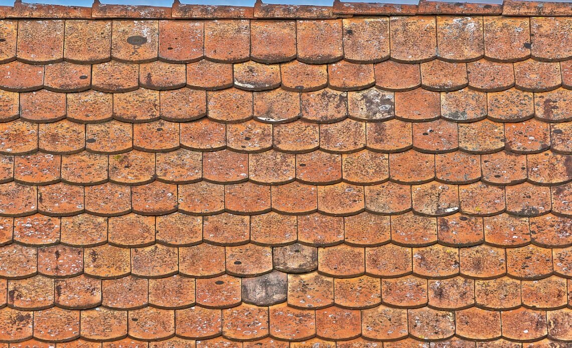 Jaka papa na dach betonowy