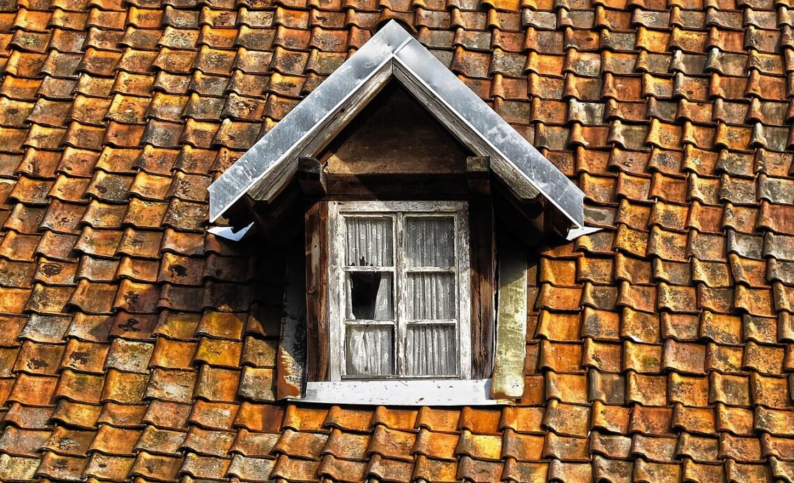 Jaka papa na budynek gospodarczy