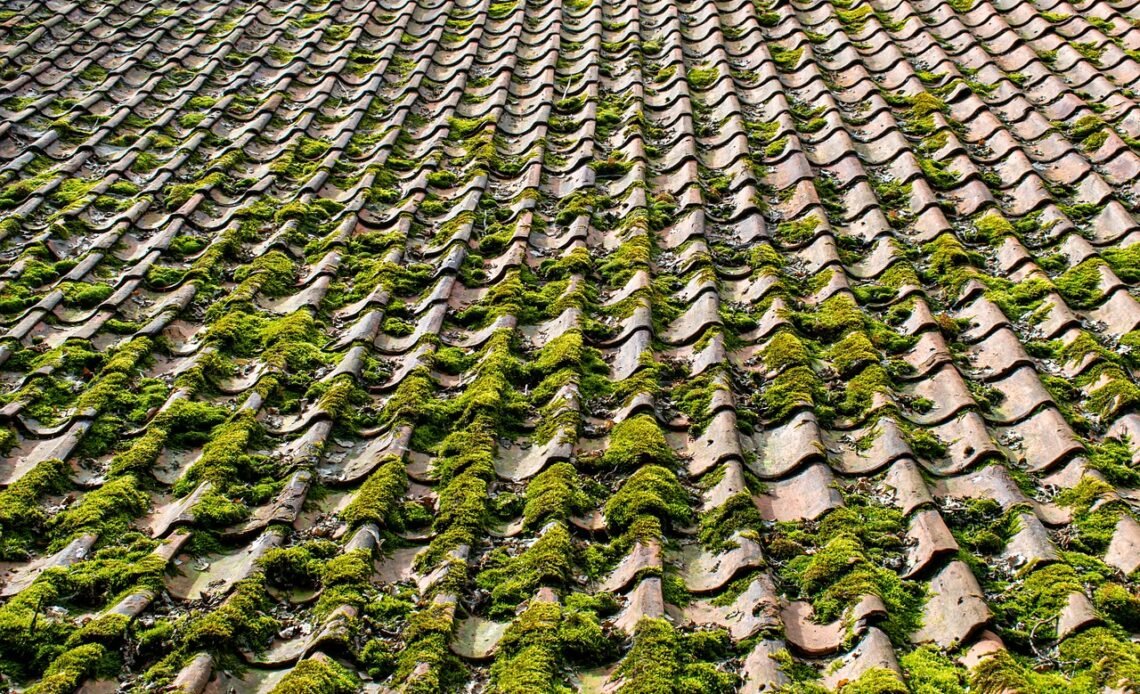 Jaka papa termozgrzewalna na garaż