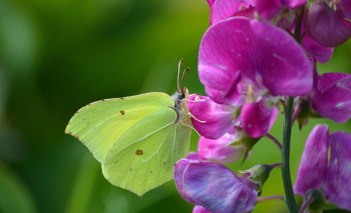 jak nagrać ekran na laptopie windows 11