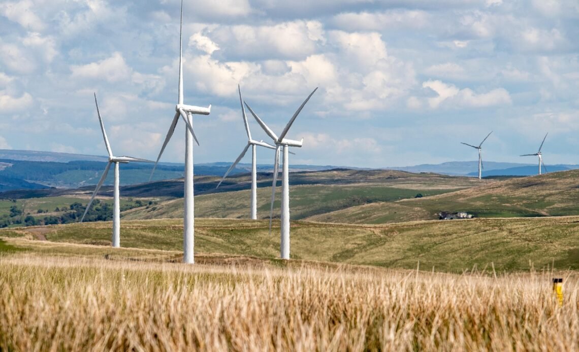 jaka jest cena energii elektrycznej