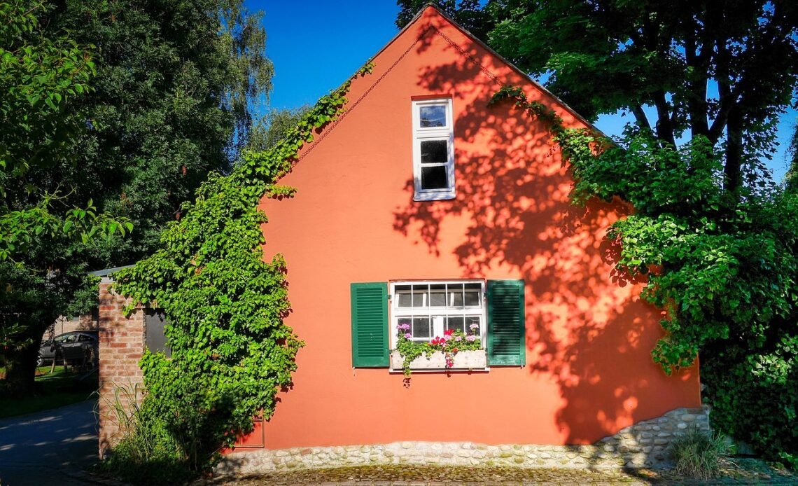 Jaka papa na styropapę