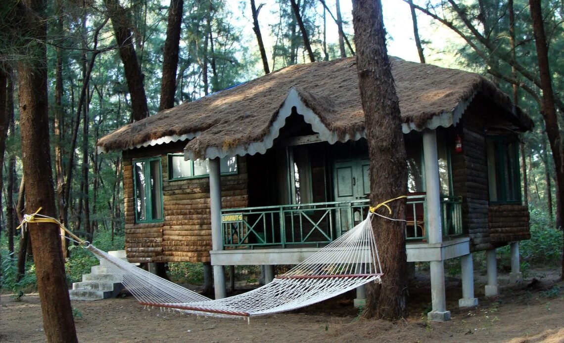 Jaka papa podkładowa na dach